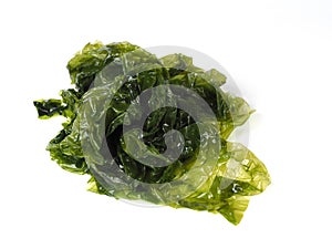 Sea lettuce Ã¢â¬â Lechuga de Mar photo